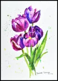 tulipany-akwarela-oryginal