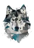 wilk-plakat-70x100-cm