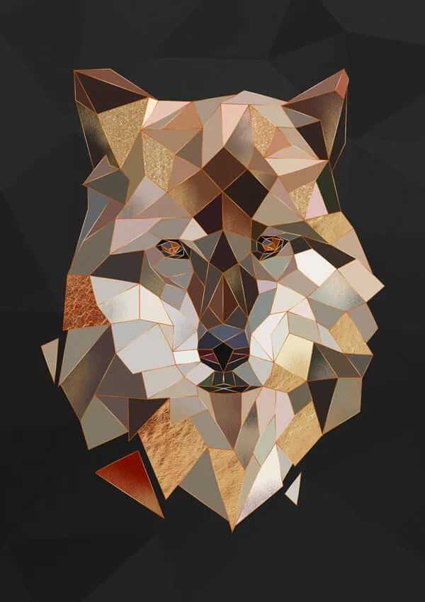 wilk-braz-plakat-40x60-cm