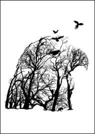 orzel-plakat-60x80-cm