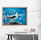 ptak-plakat-premium-40x30-cm-stan-nowy
