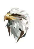 orzel-ii-plakat-30x40-cm
