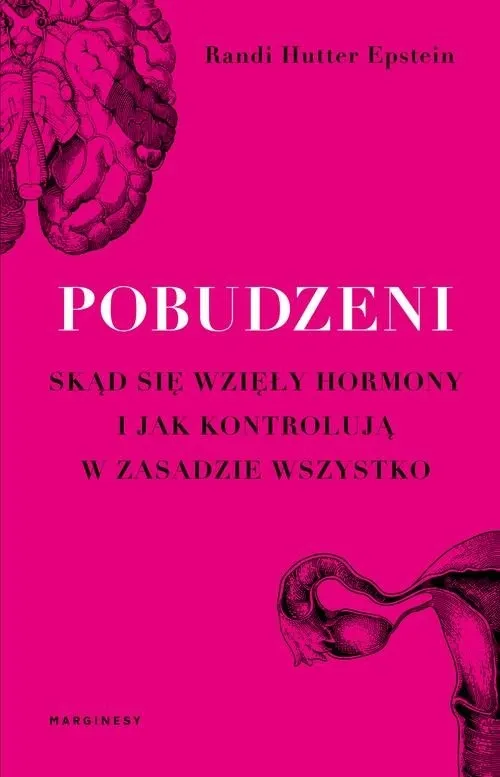 pobudzeni