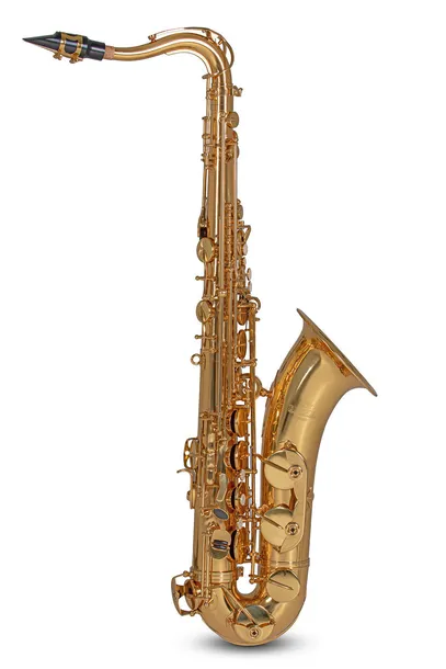 roy-benson-ts-202-saksofon-tenor-stan-nowy