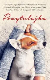 przytulajka-pocket