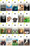 etui-do-microsoft-lumia-435-nadruk-case-gradient-kolor-bialy