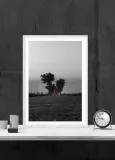 droga-plakat-premium-40x60-cm-stan-nowy