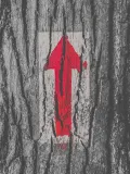 kierunek-plakat-premium-61x915-cm
