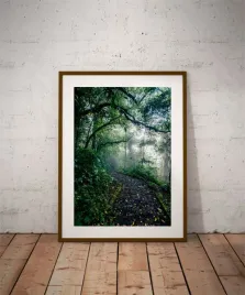 path-plakat-premium-60x80-cm