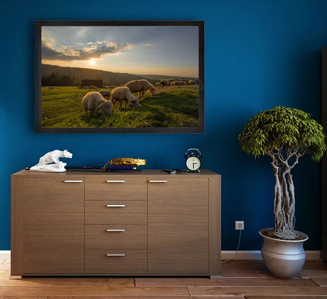 owce-plakat-premium-100x70-cm