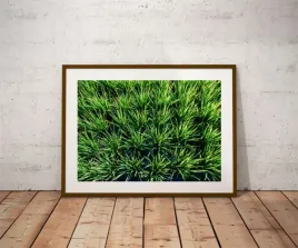 rice-plakat-premium-40x30-cm