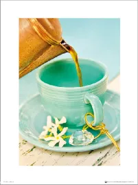 tea-cup-plakat-premium-40x50-cm