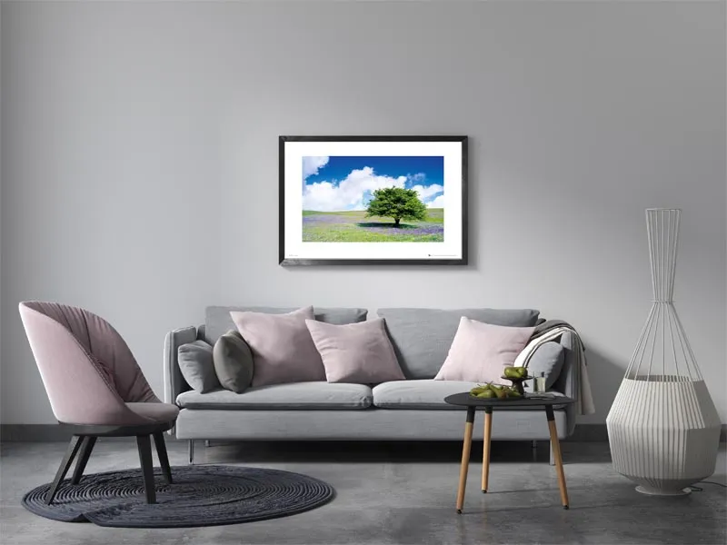 tree-plakat-premium-40x30-cm