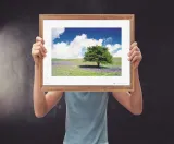 tree-plakat-premium-40x30-cm-stan-nowy