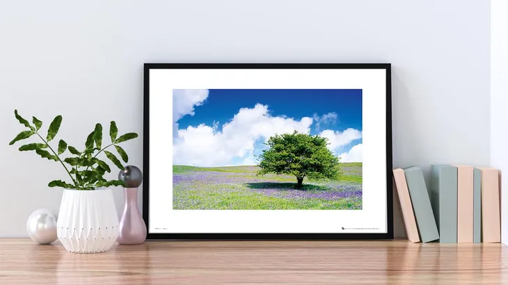 tree-plakat-premium-40x30-cm-stan-nowy