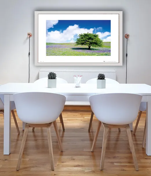 tree-plakat-premium-40x30-cm-stan-nowy