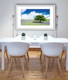 tree-plakat-premium-40x30-cm-stan-nowy