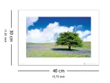 tree-plakat-premium-40x30-cm-stan-nowy