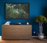 jodla-plakat-100x70-cm-stan-nowy