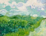 green-wheat-fields-auvers-vincent-van-gogh-pla