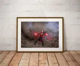 scarlet-witch-plakat-100x70-cm-stan-nowy