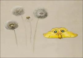 study-of-white-daisy-chamomile-stem-with-two-peta