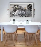 zebra-plakat-100x70-cm-stan-nowy