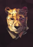 gepard-plakat-20x30-cm