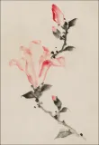 large-pink-blossom-on-a-stem-with-three-additional