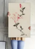 large-pink-blossom-on-a-stem-with-three-additional-stan-nowy