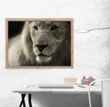 lew-plakat-297x21-cm-stan-nowy