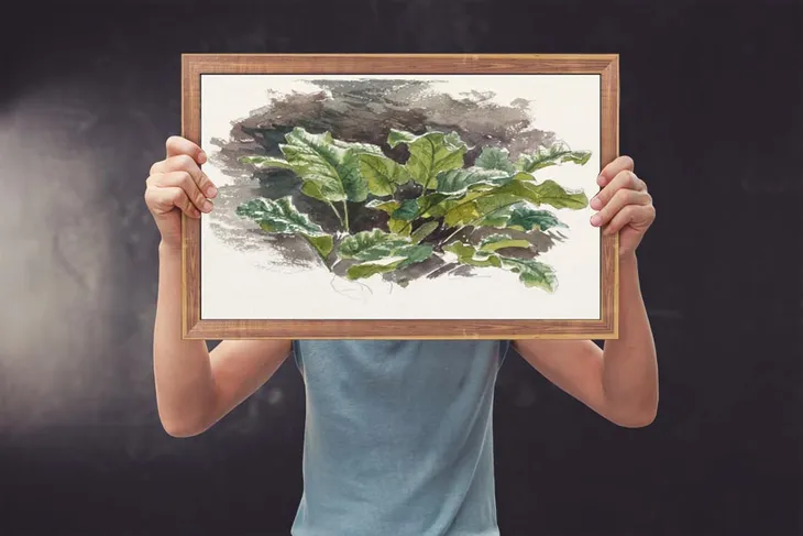 botanical-study-samuel-colman-plakat-50x40-cm-stan-nowy