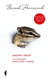 zimowy-swiat