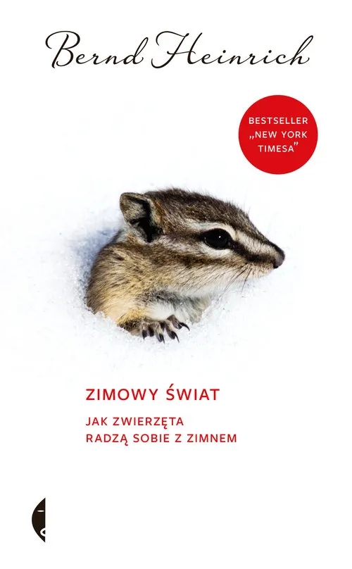 zimowy-swiat