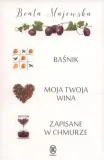 basnik-moja-twoja-wina-zapisane-w-chmurze