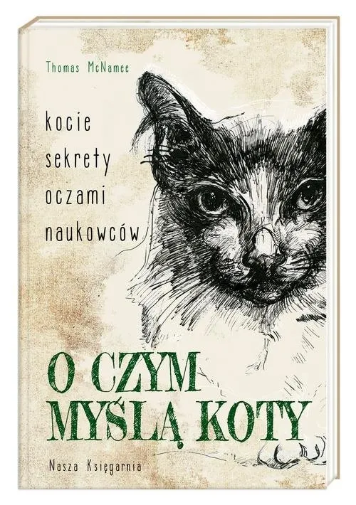 o-czym-mysla-koty