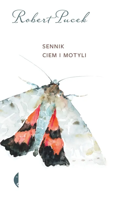 sennik-ciem-i-motyli