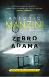 zebro-adama