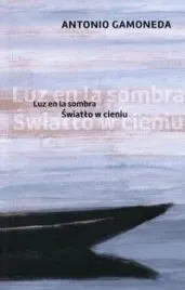 swiatlo-w-cieniu