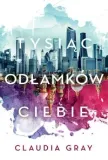 tysiac-odlamkow-ciebie
