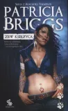 zew-ksiezyca