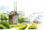 gra-planszowa-laka-stan-nowy-wiek-dziecka-10-lat