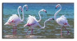 obraz-na-plotnie-flamingi-90x45cm