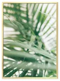 obraz-boho-53x73cm