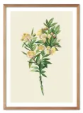 obraz-z-roslinami-53x73cm