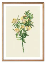 obraz-z-roslinami-53x73cm