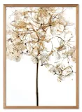 obraz-z-roslinami-53x73cm