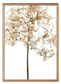 obraz-z-roslinami-53x73cm