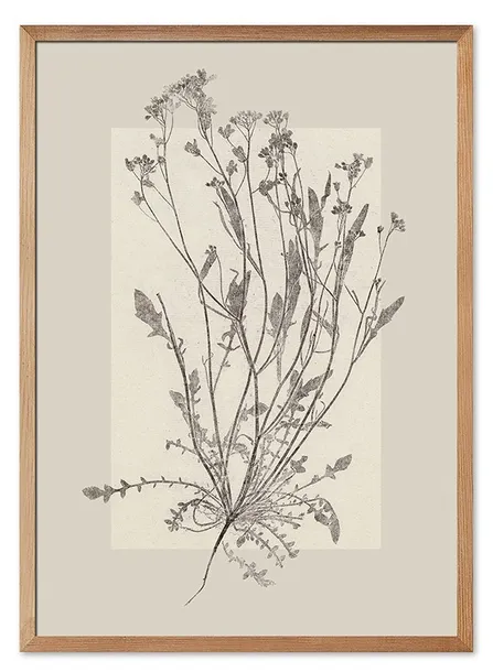 obraz-z-roslinami-53x73cm