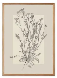 obraz-z-roslinami-53x73cm